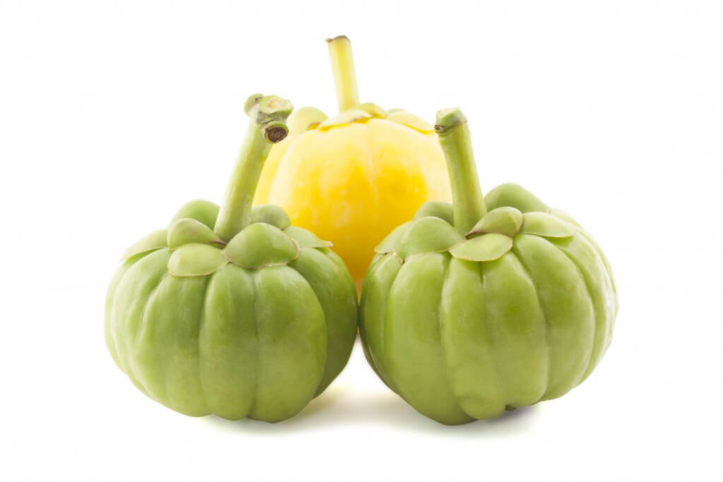 Conoce más sobre la Garcinia Cambogia | FarmaciaOnlineBarata